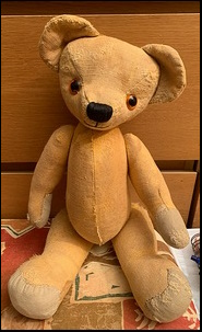 Andy C.'s Teddy after treatment