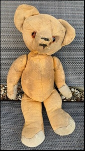 Andy C.'s Teddy before treatment