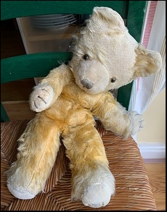 Amanda C.'s bear before treatment