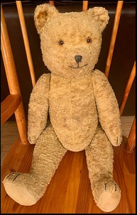 Cathy A.'s Beary after treatment