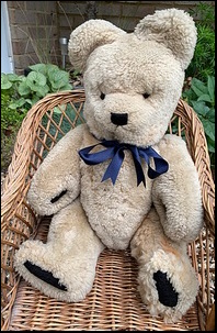 Colin P.'s Teddy after treatment