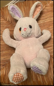 Eamon O'F.'s bunny after treatment