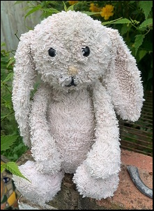 George F.'s Bunny after treatment