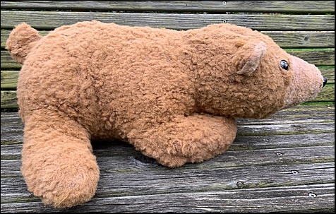 Harry C.'s Mr. Bear after treatment