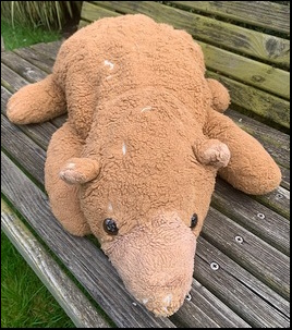 Harry C.'s Mr. Bear before treatment