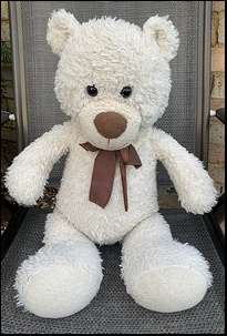 Harrison C.'s Teddy after treatment
