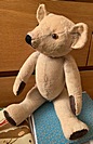 Heather R.'s Teddy after