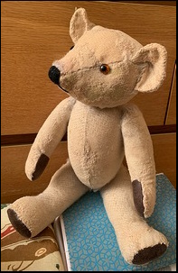 Heather R.'s Teddy after treatment