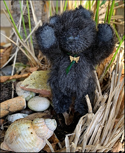 Hudson finds a shell