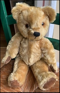 Ian C.'s Teddy after treatment