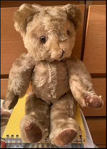 Ian C.'s Teddy before treatment