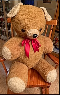 Jayne F.'s Big Ted after treatment