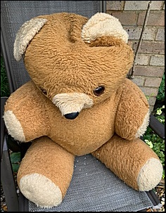 Jayne F.'s Big Ted before treatment