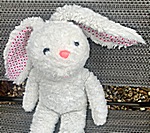 Jovita R.-M..'s Rabbit after