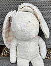 Jovita R.-M..'s Rabbit before