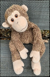 Jennifer T.'s Monkey after treatment