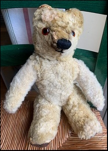 Linda C.'s Teddy after treatment