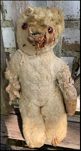 Linda C.'s Teddy before treatment