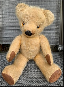 Lydia L.'s Teddy after treatment