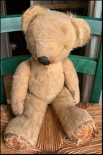 Lydia L.'s Teddy before treatment