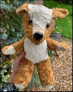 Mandy A.'s Teddy after treatment