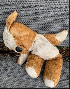 Mandy A.'s Teddy before treatment