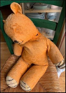 Pauline W.'s Teddy before treatment