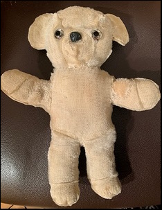 Ruth M.'s Teddy after treatment