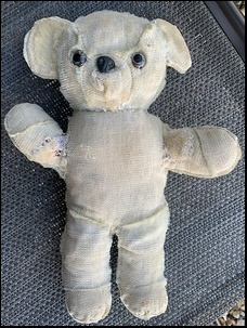 Ruth M.'s Teddy before treatment