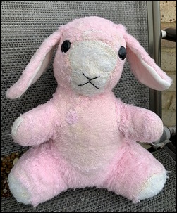 Sharon B.'s Bunny after treatment