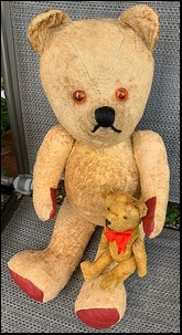 Steve G.'s Mr. Ted & Little Ted after treatment