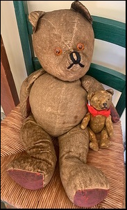 Steve G.'s Mr. Ted & Little Ted before treatment