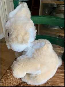 Sue H.'s Bunny before treatment