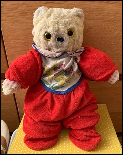 Shona T.'s Teddy (dressed) after treatment