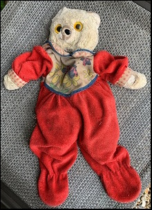 Shona T.'s Teddy (dressed) before treatment