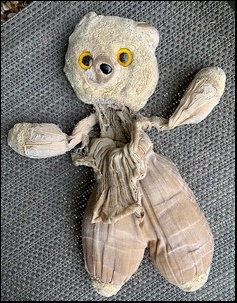 Shona T.'s Teddy (undressed) before treatment