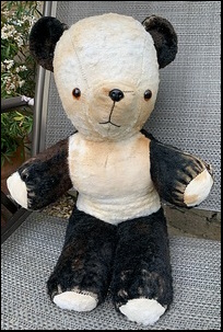 Tracy G.'s Teddy after treatment