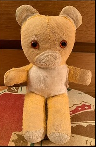 Tina O.'s Baby Teddy after treatment