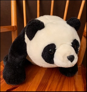 Warren D.'s Panda after treatment