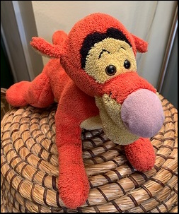 Will H.'s Tigger after treatment