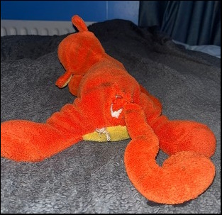 Will H.'s Tigger before treatment