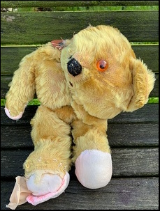 Amanda L.'s Fred before treatment