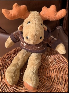 Ben C.'s Reni after treatment