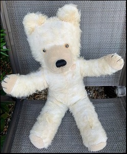 Chris D.'s Big Ted after treatment