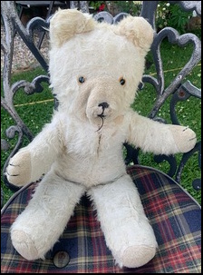 Chris D.'s Big Ted before treatment