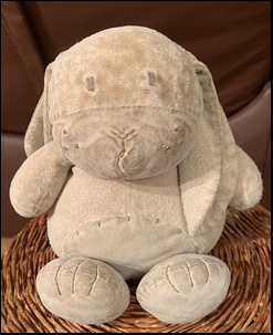 Catherine W.'s Bunny after treatment