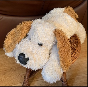 Dan M.'s Doggo after treatment