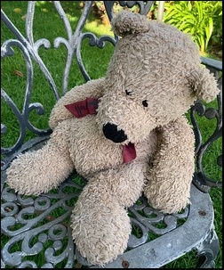 Dan M.'s Harry before treatment