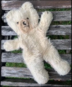 Helen T.'s teddy before treatment