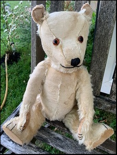 Karen H.'s Teddy after treatment